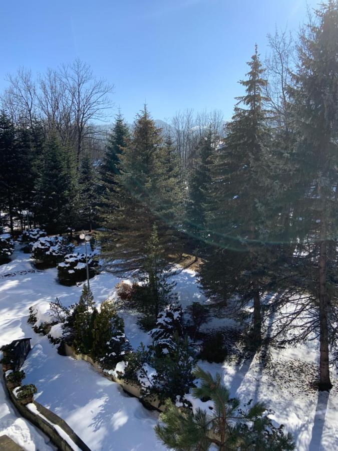 Resort Ow Jaskolka 3*